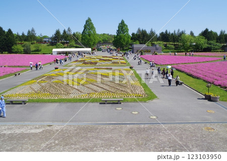 備北丘陵公園花の広場の景色 123103950