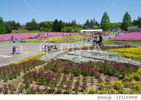 備北丘陵公園花の広場の景色 備北丘陵公園花の広場の景色 123103956