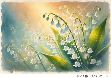 スズランの花 スズランの花 123104089