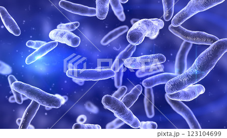 Bilophila wadsworthia bacteria 123104699
