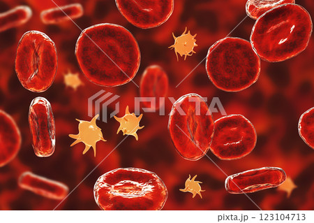 Platelets in blood smear, 3D illustration 123104713