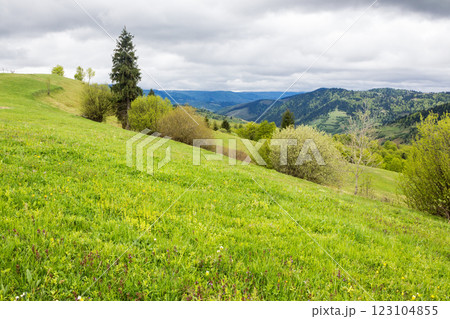countryside mountain landscape in spring. cloudy weather. field and forest on the hill. rolling rural scenery countryside mountain landscape in spring. cloudy weather. field and forest on the hill. rolling rural scenery 123104855
