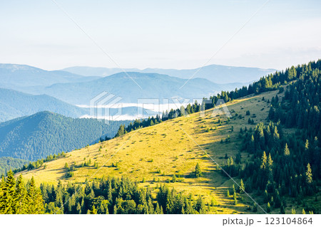 mountain landscape of ukrainian alps in summer. scenic carpathian woodland. morning scenery with fog in the distant valley. forest on the steep slope of chornohora ridge. beautiful view mountain landscape of ukrainian alps in summer. scenic carpathian woodland. morning scenery with fog in the distant valley. forest on the steep slope of chornohora ridge. beautiful view 123104864