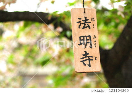 大阪造幣局の桜の通り抜けと八重桜（法明寺）の木札 123104869
