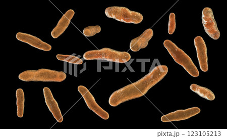Biofilm of antibiotic resistant bacteria. Rod-shaped and spherical bacteria. Escherichia coli, Pseudomonas, Mycobacterium tuberculosis, Klebsiella, Staphylococcus aureus, MRSA. 3D illustration 123105213