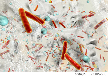 Antibiotic resistant bacteria inside a biofilm, 3D illustration. Realistic scientific background 123105229