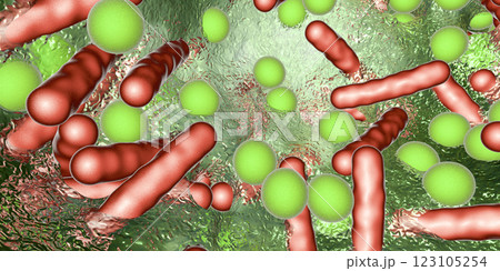 Antibiotic resistant bacteria inside a biofilm, 3D illustration. Realistic scientific background 123105254