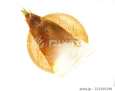 タケノコ　たけのこ　竹の子　筍 123105298