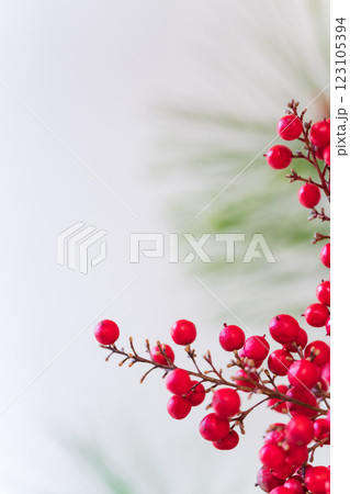 万両・正月飾り イメージ 123105394