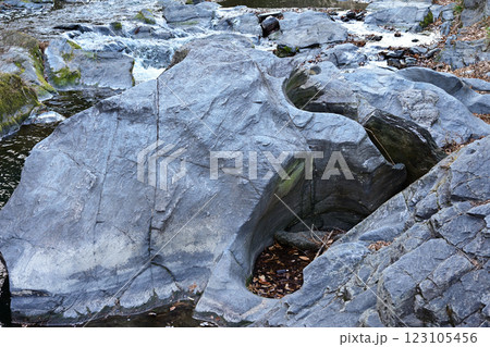 遠山の甌穴（埼玉県比企郡嵐山町） 123105456