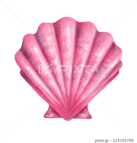 Seashell scallop. Watercolor and marker illustration. Sketch of Bivalve. Hand drawn isolated art. Wild underwater life. Ocean mollusk. Shell for menu design, kids room, bath. Exotic marine fauna Seashell scallop. Watercolor and marker illustration. Sketch of Bivalve. Hand drawn isolated art. Wild underwater life. Ocean mollusk. Shell for menu design, kids room, bath. Exotic marine fauna 123105789