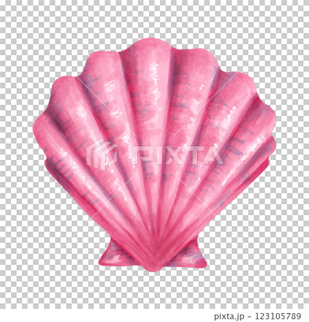 Seashell scallop. Watercolor and marker illustration. Sketch of Bivalve. Hand drawn isolated art. Wild underwater life. Ocean mollusk. Shell for menu design, kids room, bath. Exotic marine fauna Seashell scallop. Watercolor and marker illustration. Sketch of Bivalve. Hand drawn isolated art. Wild underwater life. Ocean mollusk. Shell for menu design, kids room, bath. Exotic marine fauna 123105789
