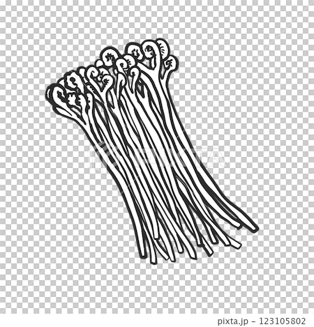 わらびの手描き筆絵風イラスト 123105802