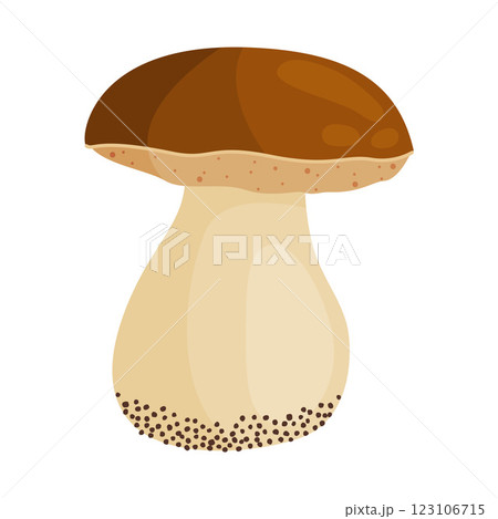 Porcini mushroom, edible forest mushrooms. Fresh boletus Hand drawn trendy flat style Porcini mushroom, edible forest mushrooms. Fresh boletus Hand drawn trendy flat style 123106715