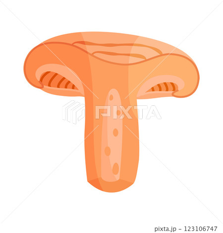 Saffron milk cap mushroom slice, edible forest mushroom icon. Hand drawn trendy flat style Saffron milk cap mushroom slice, edible forest mushroom icon. Hand drawn trendy flat style 123106747