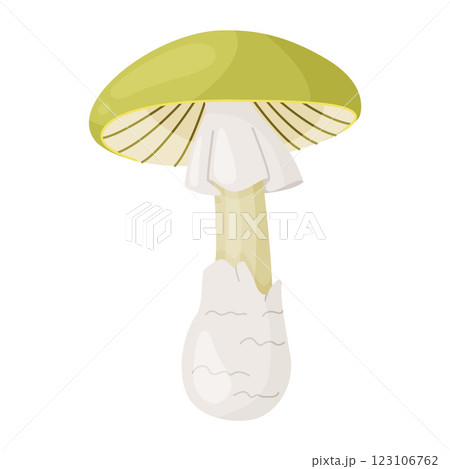 Death cap poisonous forest mushroom. Hand drawn trendy flat style isolated icon 123106762