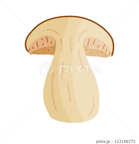 Porcini sliced mushroom. Fresh boletus Hand drawn trendy flat style Porcini sliced mushroom. Fresh boletus Hand drawn trendy flat style 123106772