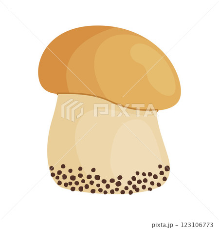 Porcini mushroom, edible forest mushrooms. Fresh boletus Hand drawn trendy flat style 123106773