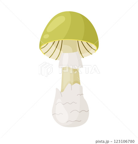 Death cap poisonous forest mushroom. Hand drawn trendy flat style isolated icon Death cap poisonous forest mushroom. Hand drawn trendy flat style isolated icon 123106780
