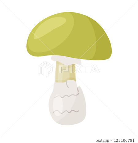 Death cap poisonous forest mushroom. Hand drawn trendy flat style isolated icon 123106781