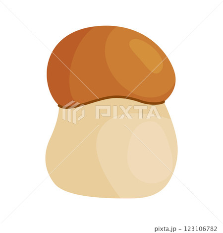 Porcini mushroom, edible forest mushrooms. Fresh boletus Hand drawn trendy flat style 123106782
