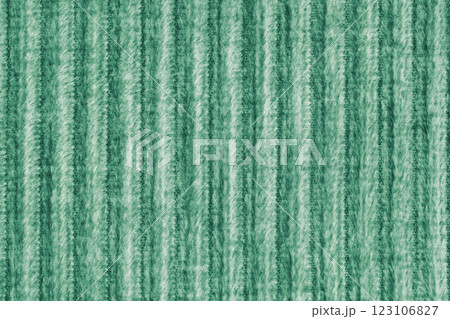 Ridge fluffy macro texture corduroy green cloth. Large ribbed, coarse weaving fabric background Ridge fluffy macro texture corduroy green cloth. Large ribbed, coarse weaving fabric background 123106827