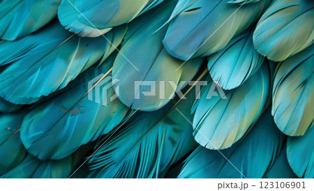 A captivating arrangement of turquoise feathers showcases intricate patterns and textures, evoking a sense of natural beauty and creativity 123106901