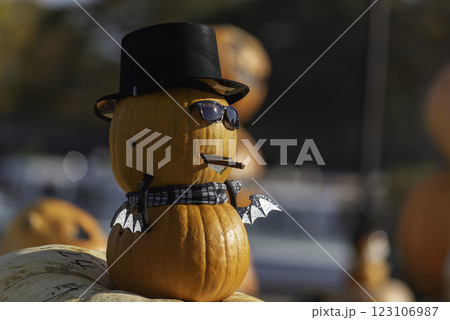 ハロウィンのかぼちゃ 123106987