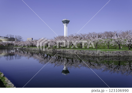 水面に映る満開の桜 123106990
