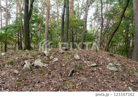 水番城 主郭跡 水番城 主郭跡 123107162