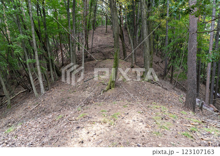 水番城跡　搦手筋に残る堀切 123107163