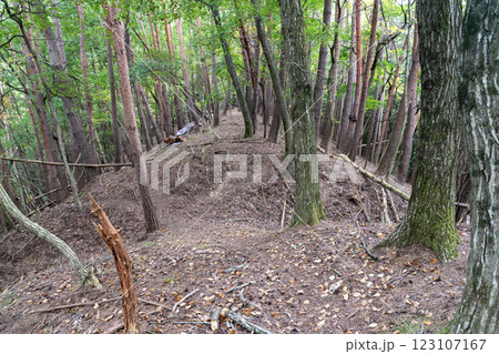 水番城　搦手筋に残る堀切 123107167