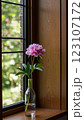窓辺に置かれた一輪の花 123107172