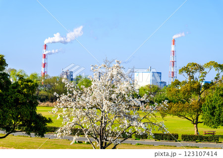 青空を背景に映える　球磨川河川緑地・球磨川河川敷芝生広場から観える風景　(八代市) 123107414