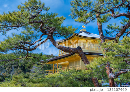 京都市　冬の鹿苑寺（金閣寺） 123107469
