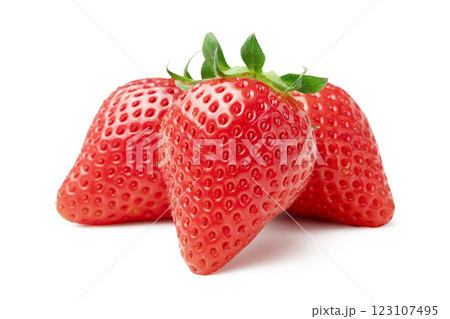 おいしいイチゴ 123107495