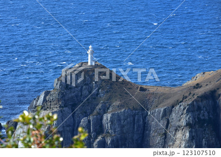 大瀬崎灯台 123107510