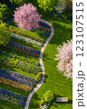 上空からの桜咲く公園 123107515