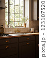 窓辺のオシャレなキッチン 123107520
