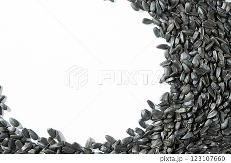Black Unpeeled Sunflower Seeds on White Background, Place for Text, Top View Black Unpeeled Sunflower Seeds on White Background, Place for Text, Top View 123107660