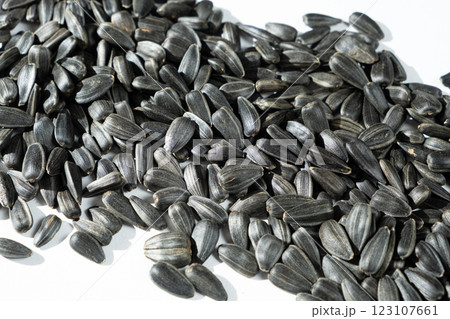 Crunchy Roasted Sunflower Seeds Close-Up Crunchy Roasted Sunflower Seeds Close-Up 123107661