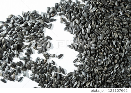 Crunchy Roasted Sunflower Seeds Close-Up 123107662