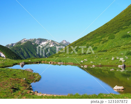 夏の北アルプス・双六池と笠ヶ岳 123107872