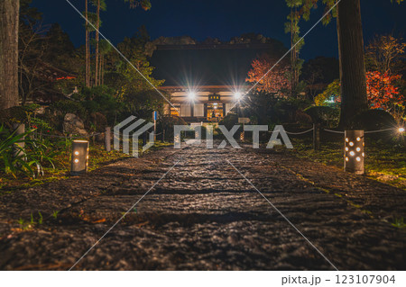 浜松市にあるライトアップされた紅葉の色付き始めた龍潭寺の参道の風景(静岡県) 123107904