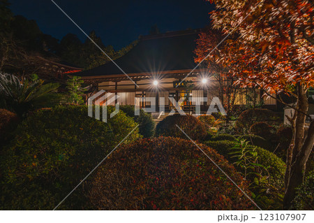 浜松市にあるライトアップされた紅葉の色付き始めた龍潭寺の風景(静岡県) 123107907