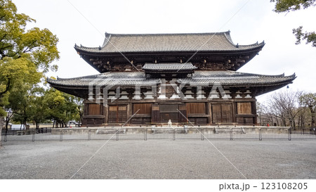 東寺　金堂　寺社　寺　真言　空海　弘法大師　京都　建築 123108205