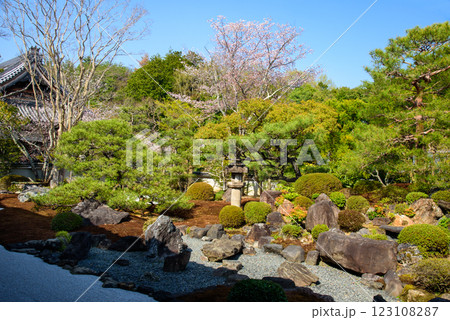 京都の春　妙満寺の雪の庭 123108287