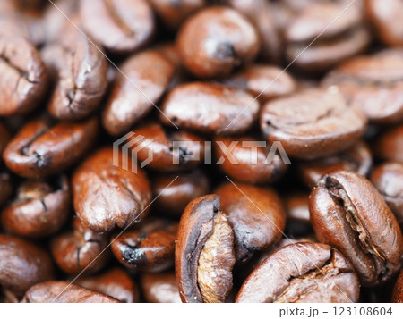 焙煎したコーヒー豆のクローズアップ 焙煎したコーヒー豆のクローズアップ 123108604