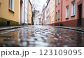 Exploring the desaturated European alleyway, historic buildings, soft light reflections, and timeless urban charm is an enchanting experience. 123109095