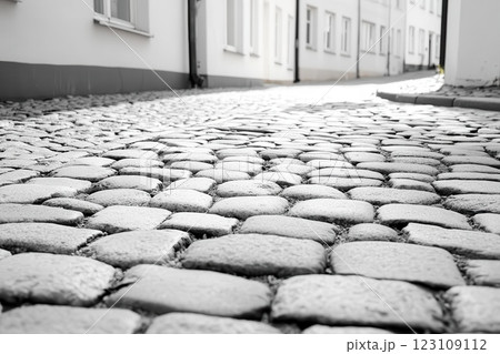 Black-and-white cobblestone street scene, vintage charm, timeless aesthetic, soft morning glow. 123109112